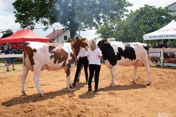 355083361 728146059319483 7961713237433184348 n