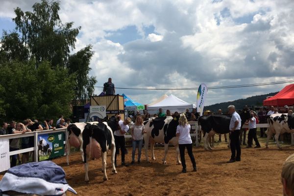 Whats App Image 2023 06 20 at 09.29.33