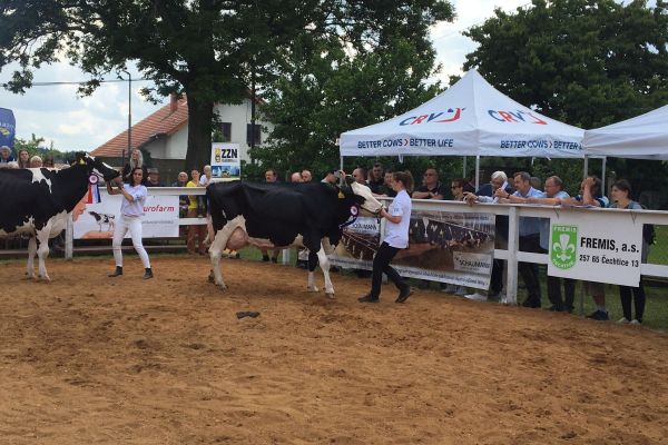 Whats App Image 2023 06 20 at 09.29.34