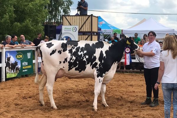 Whats App Image 2023 06 20 at 09.29.35