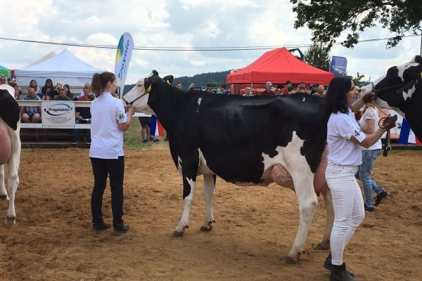 Whats App Image 2023 06 20 at 09.29.36