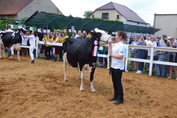 Whats App Image 2023 06 20 at 10.07.04 (1)