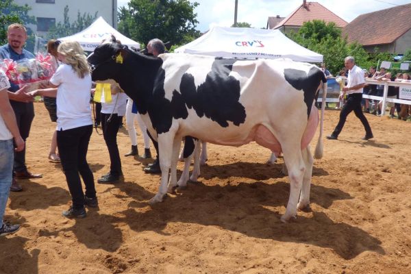 Whats App Image 2023 06 20 at 10.07.05 (1)