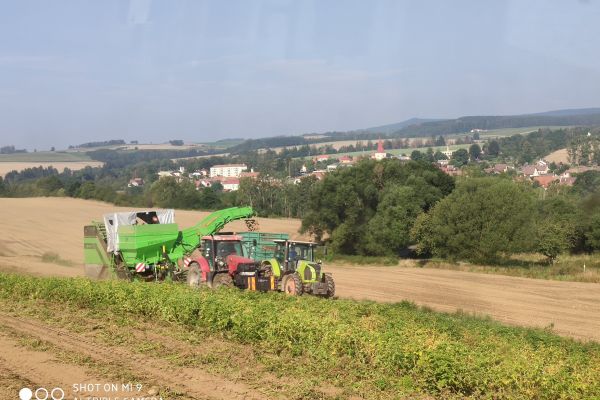 Rostlinná výroba