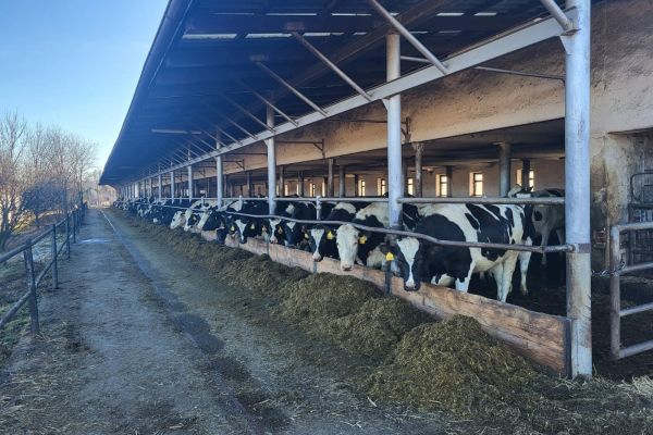 8fb14351 b34f 4a5b bff8 f6249cf39771