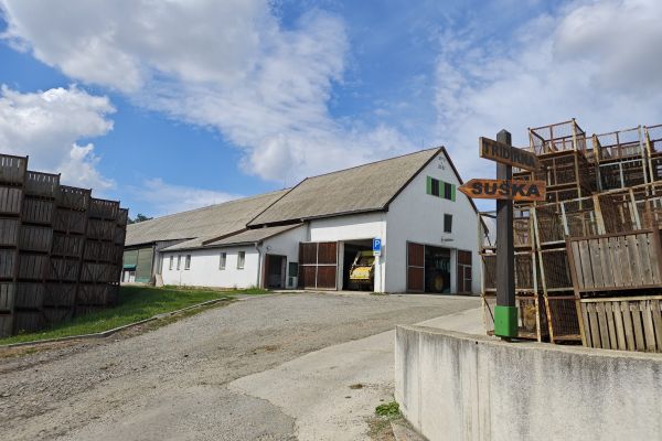 Bramborárna, teletník