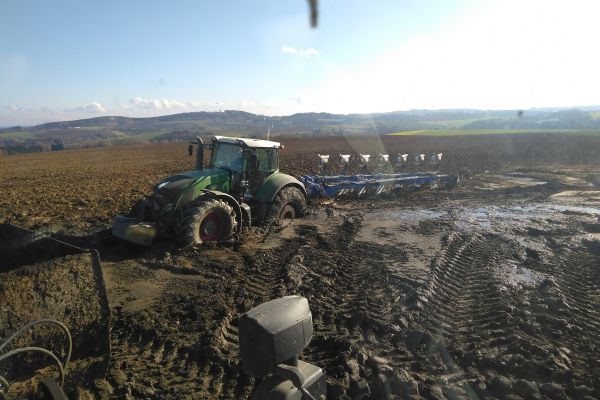 Orba na podzim není vždy jednoduchá!!!