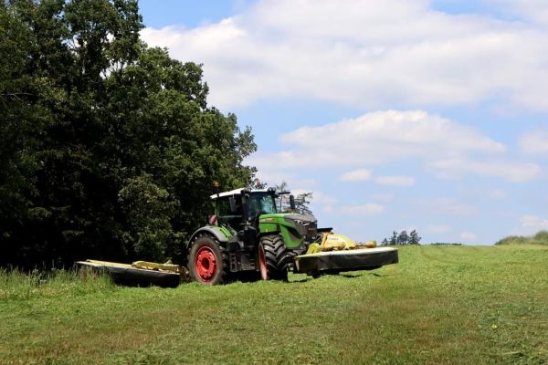 Whats App Image 2024 08 22 at 08.42.42 (2)